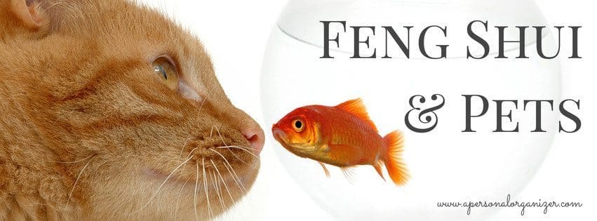 Feng Shui and Pets. Tips from the great Gwynne Warner