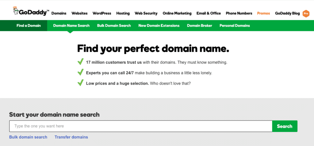 Find the perfect domain name for your professional organizing business.