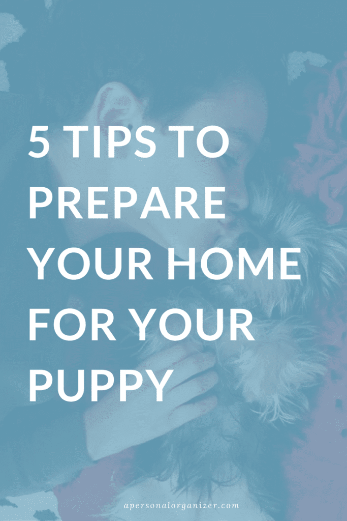 5 TIPS TO PREPARE YOUR HOME FOR YOUR PUPPY