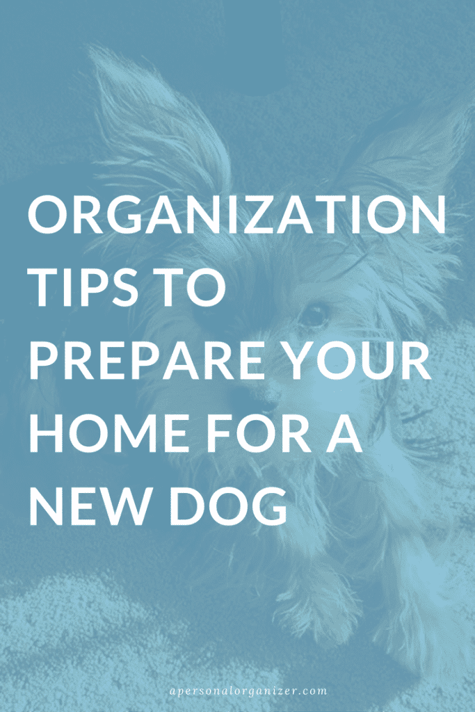 Organization Tips to Prepare Your Home for a New Dog