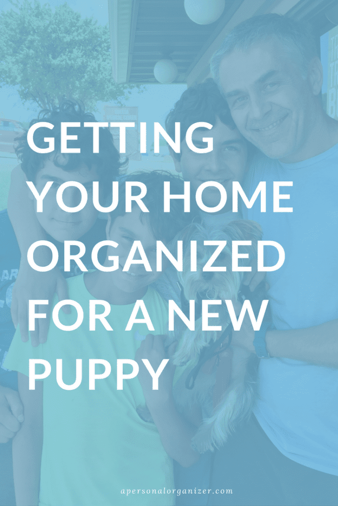 Organization tips to prepare your home and family for a new dog