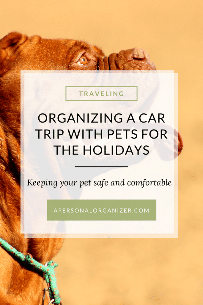 Tips for traveling with your pet this holiday season.