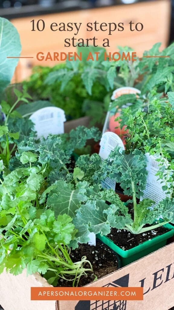 Selecting what to plant to start a home garden